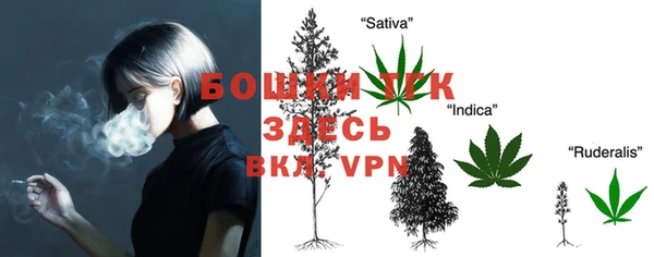 прущие грибы Арсеньев