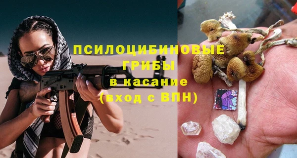 сатива Баксан