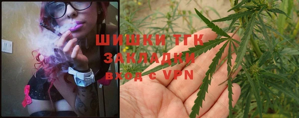 гидра Армянск