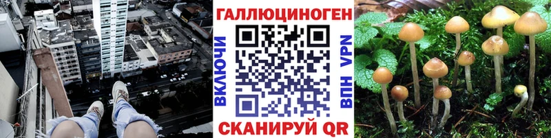 Псилоцибиновые грибы GOLDEN TEACHER  Кубинка 