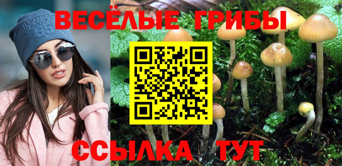 Псилоцибиновые грибы мухоморы  Вход с VPN  что такое   Кубинка 