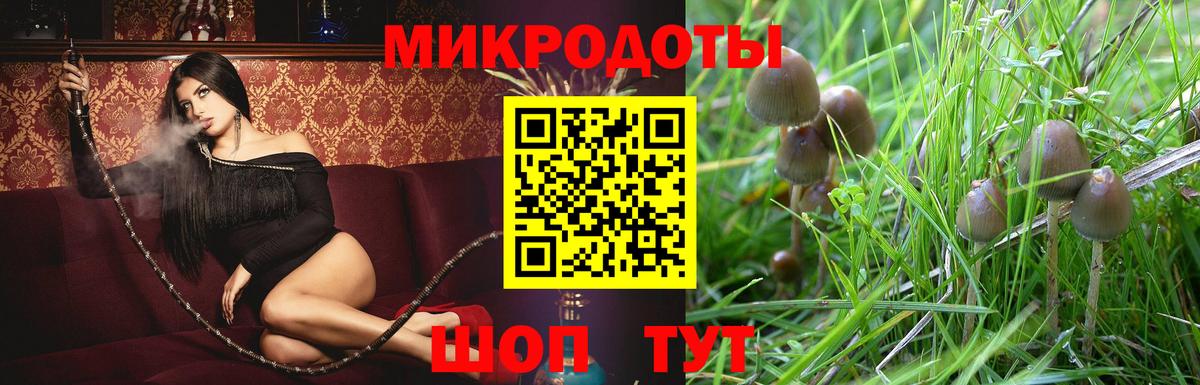 Галлюциногенные грибы Cubensis Кубинка
